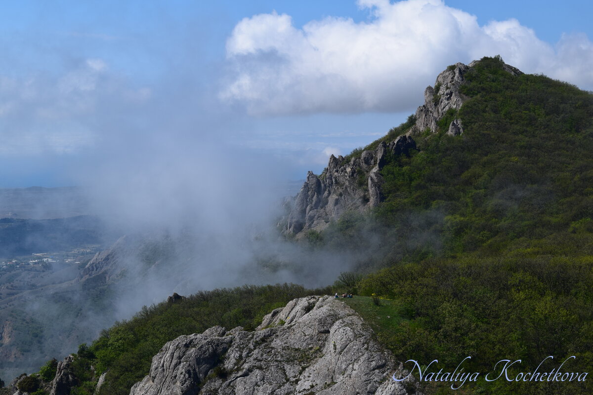 Природа Крыма - Amazing Cosmea Природа Крыма - Amazing Cosmea