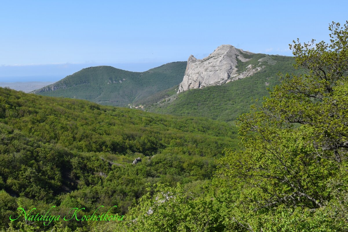 Природа Крыма - Amazing Cosmea Природа Крыма - Amazing Cosmea