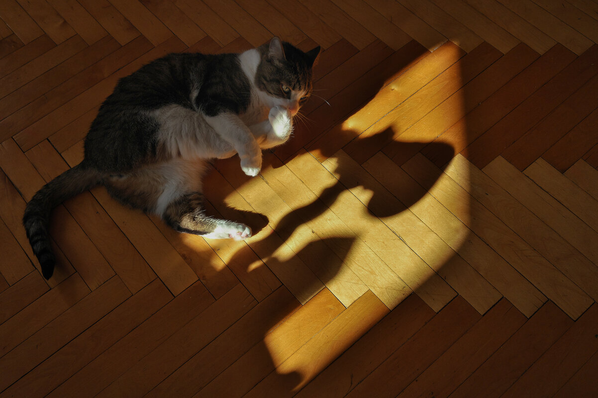 ... - ВЛАДИМИР 