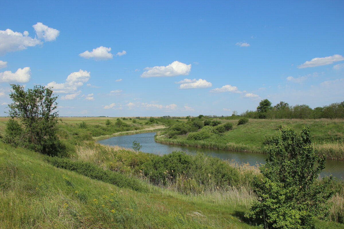 Местная река. - Виктор 