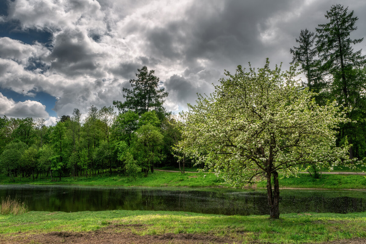 Гатчина. Утро - Владимир Колесников