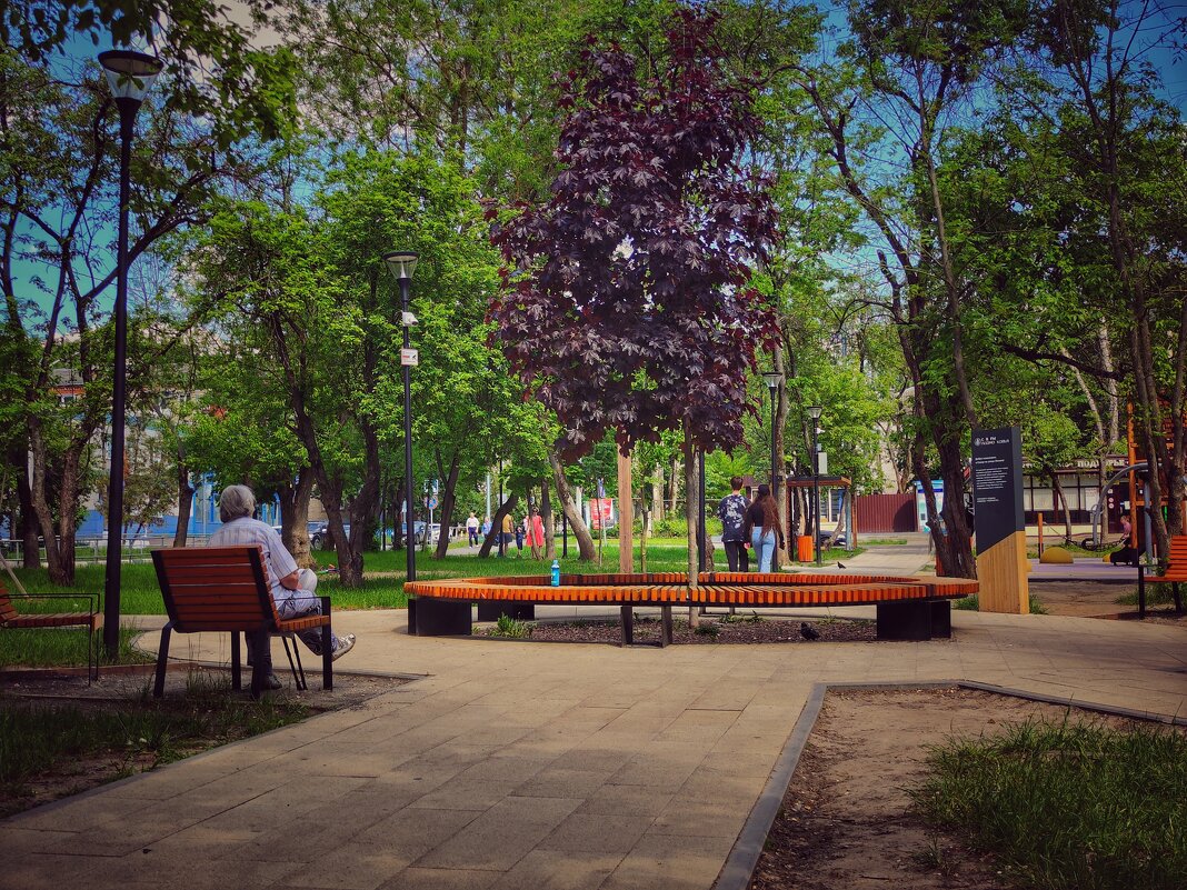 В сквере... - Алексей Архипов