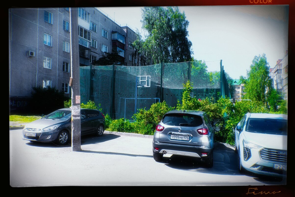 Противонасекомая сетка. - Игорь Солдаткин