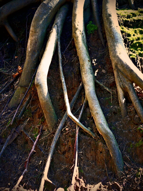 Весенние зарисовки 151 - Алексей Кузнецов