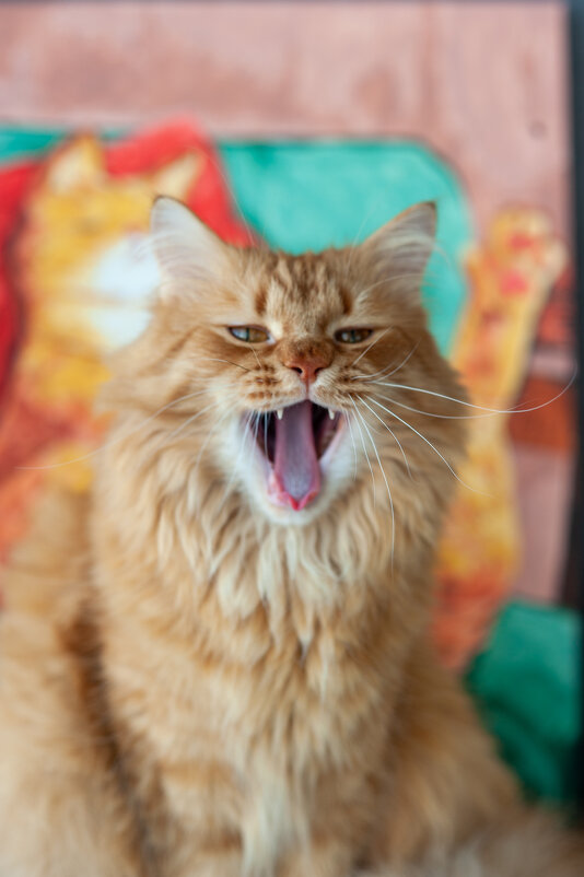 Филимон - Екатерина Пенежина Филимон - Екатерина Пенежина