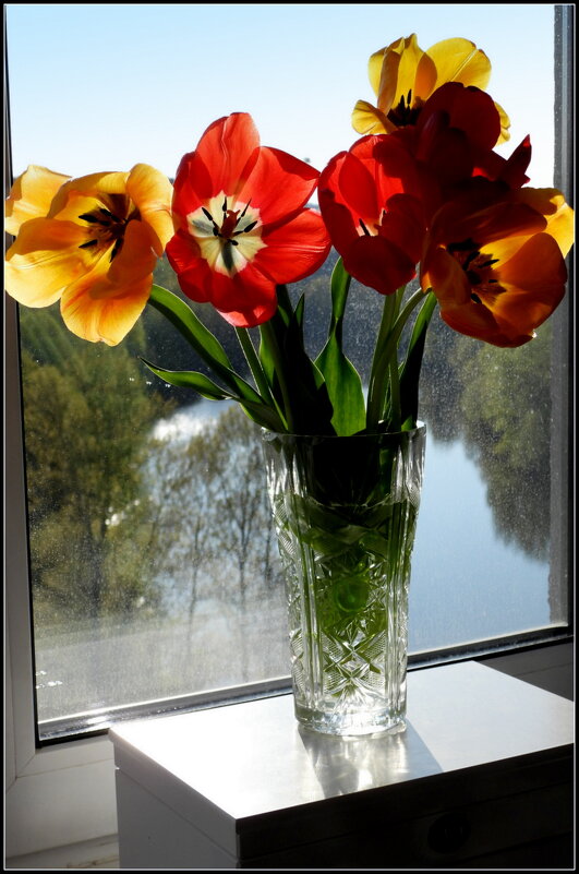 Тюльпаны мая-2 - Юрий Велицкий Тюльпаны мая-2 - Юрий Велицкий