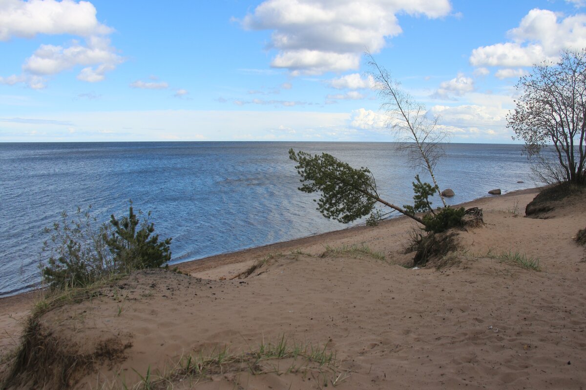 Ладожское Озеро - Наталья Герасимова Ладожское Озеро - Наталья Герасимова