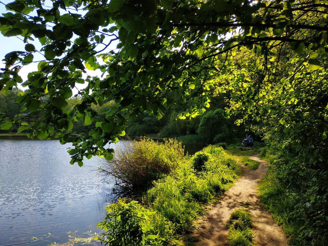Свет и тени Измайловского парка - Андрей Лукьянов
