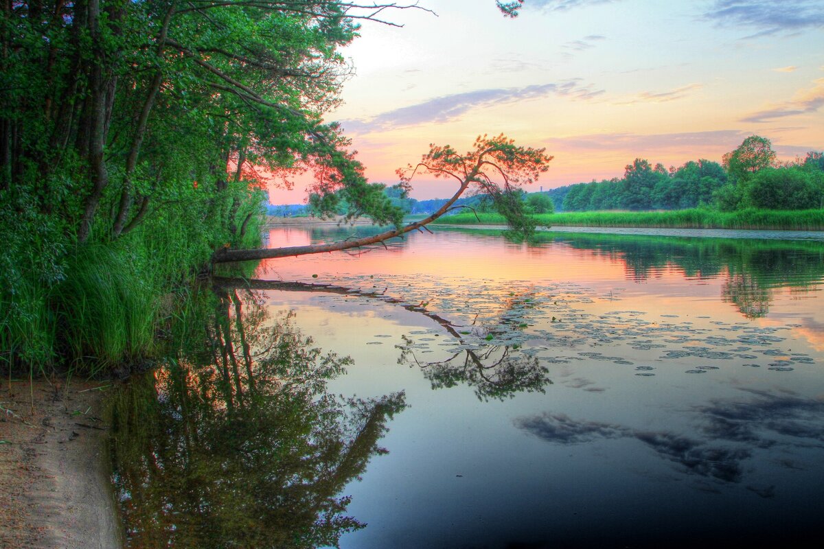 Река - Cергей Кочнев Река - Cергей Кочнев