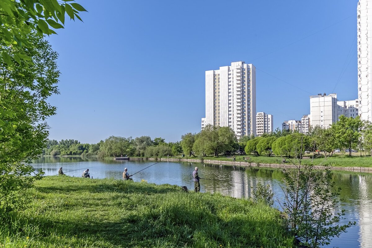 На берегу городского пруда - Валерий Иванович На берегу городского пруда - Валерий Иванович