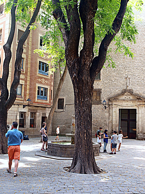 Барселона. - Владимир Драгунский