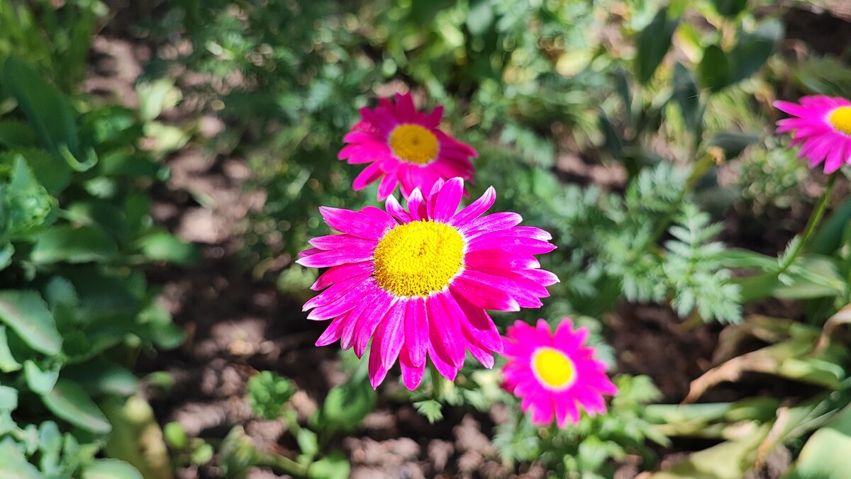 ,,, - Сергей Тимоновский ,,, - Сергей Тимоновский