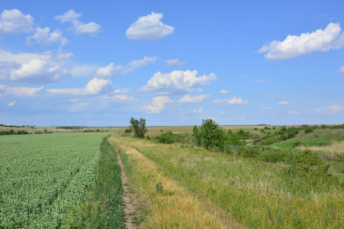 Мои дороги. - Виктор 