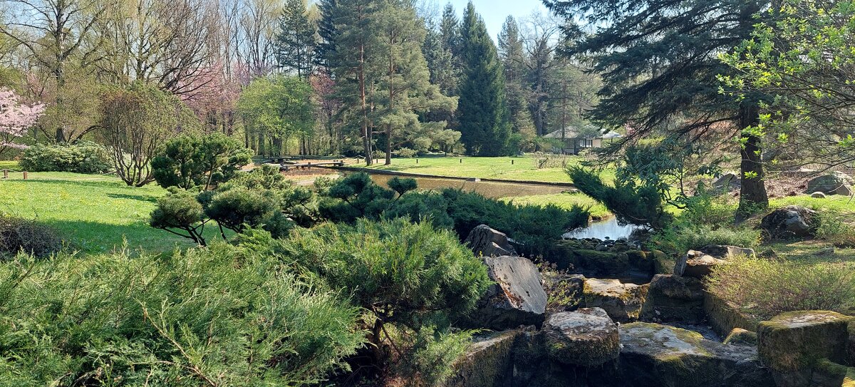 в Японском саду - ИРЭН@ . в Японском саду - ИРЭН@ .