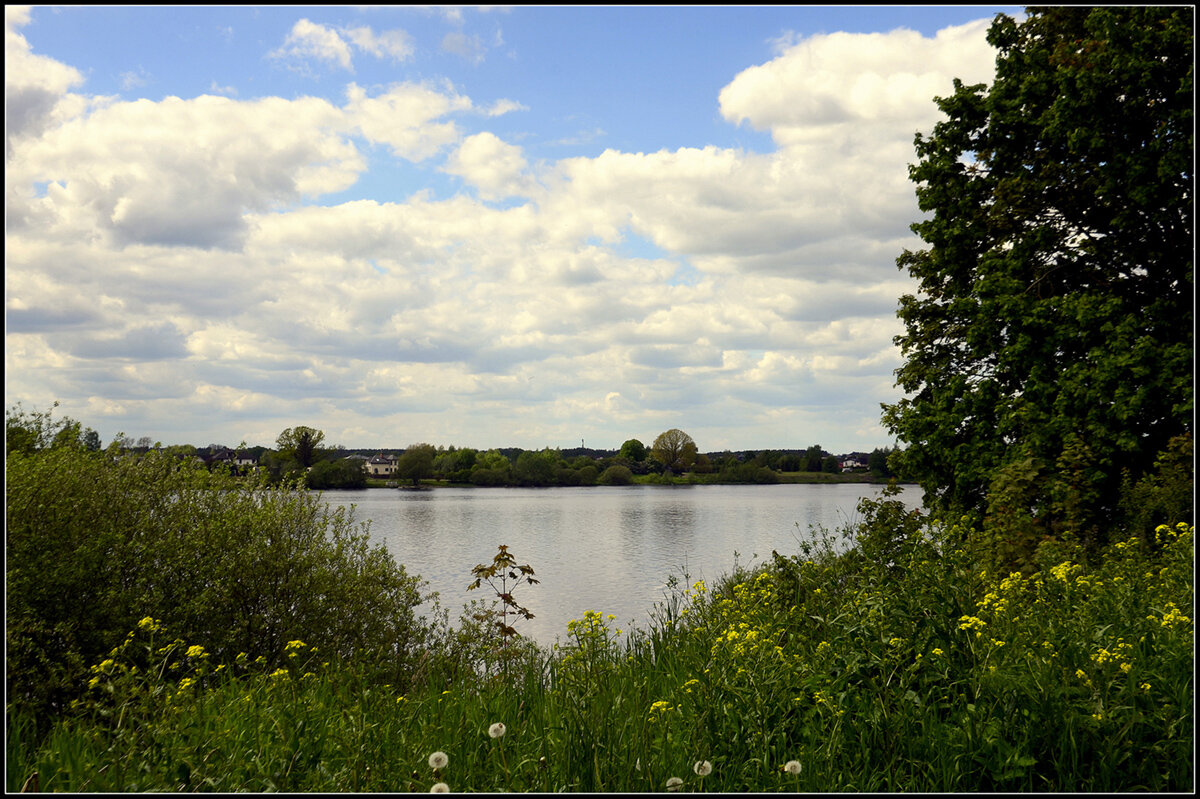 *** - Aleksandr Gal *** - Aleksandr Gal