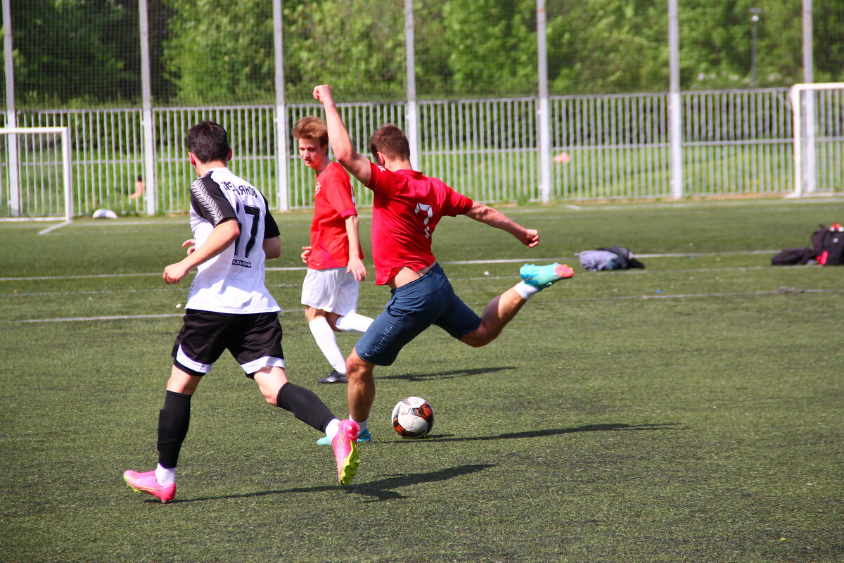 замах - Екатерина Шурыгина