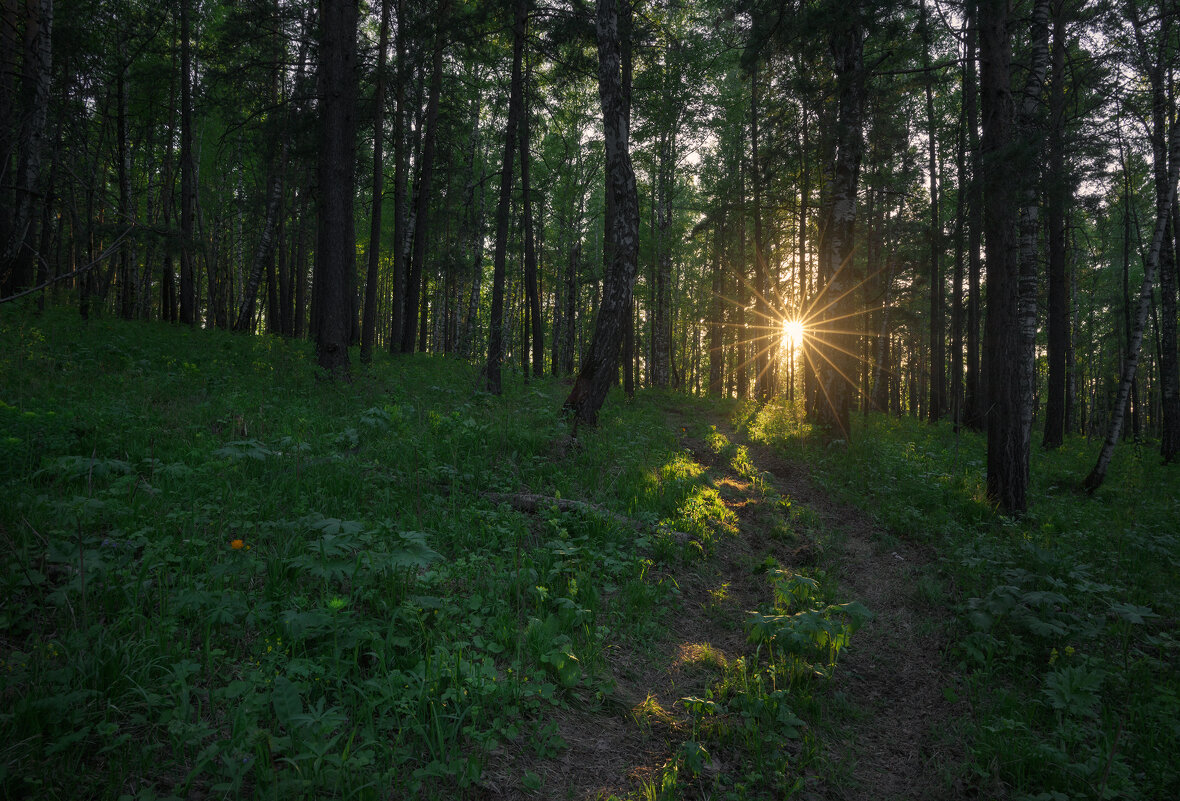 * - Александр Иванов