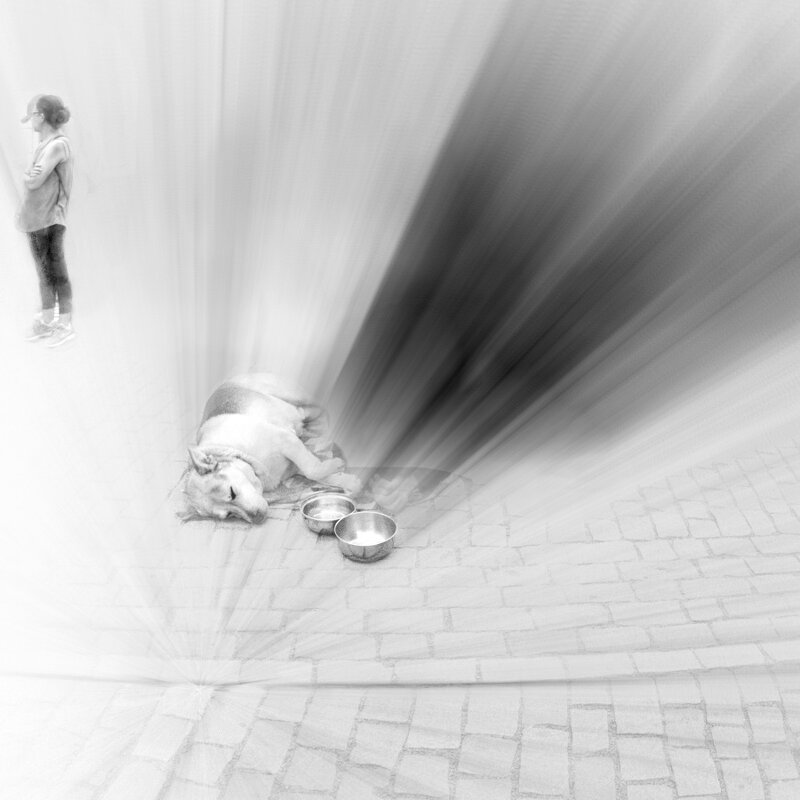 собака со своими мисками - Jiří Valiska