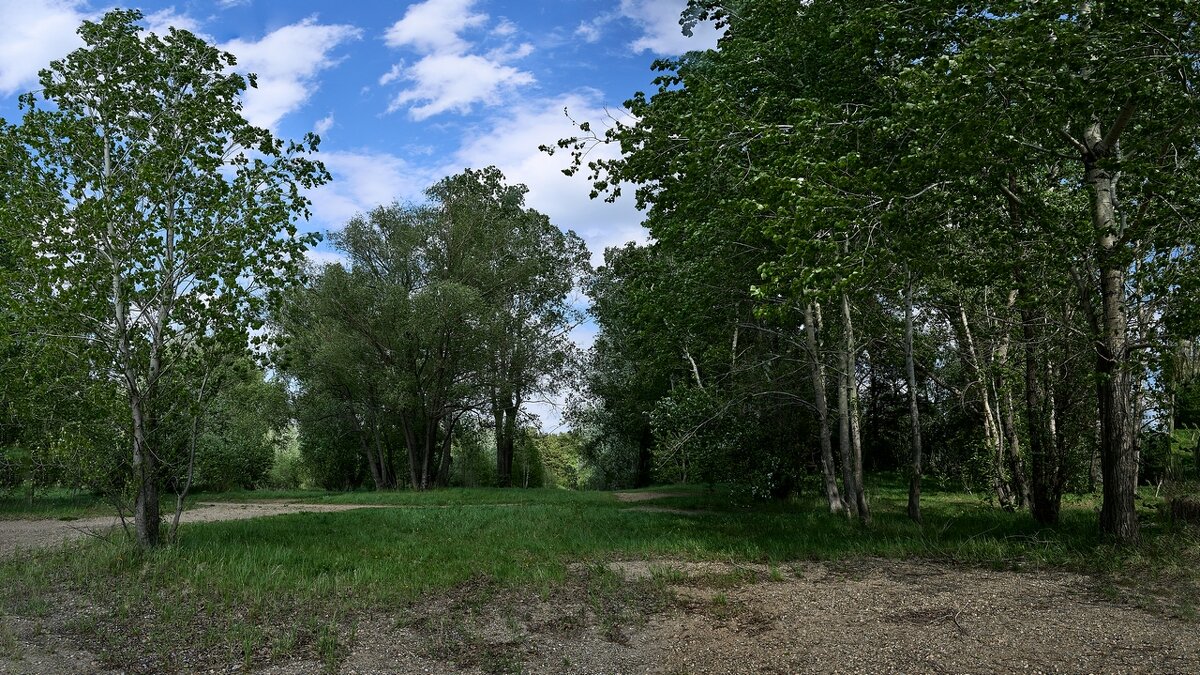 *** - Владимир 