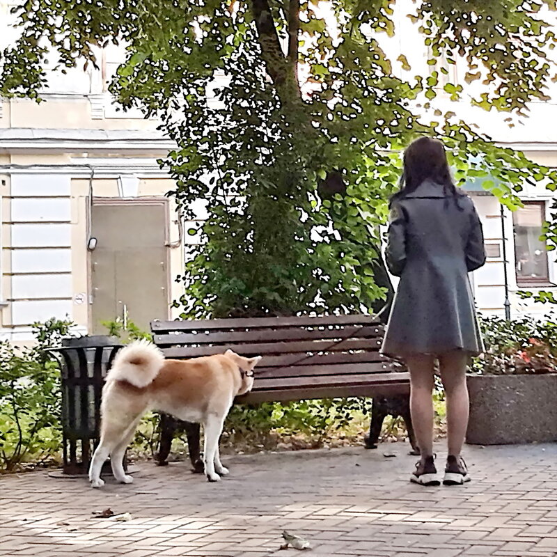 *** - Владимир Захаров