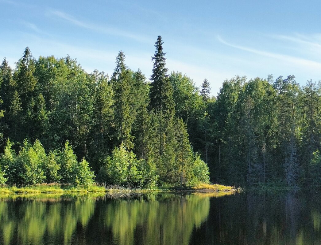 Тишина... - Ольга Чистякова