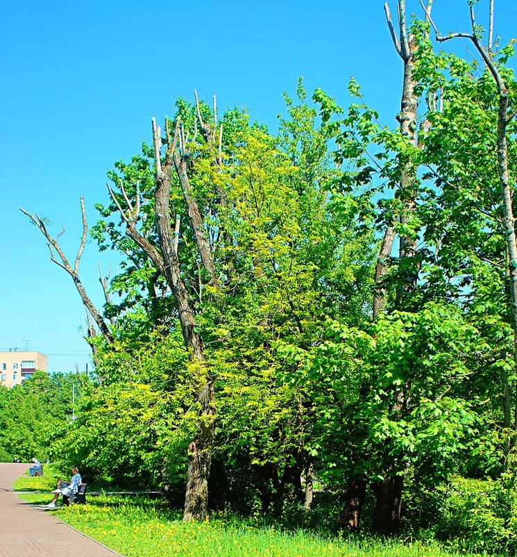Парк "Ангарские пруды" - Леонид leo Парк "Ангарские пруды" - Леонид leo