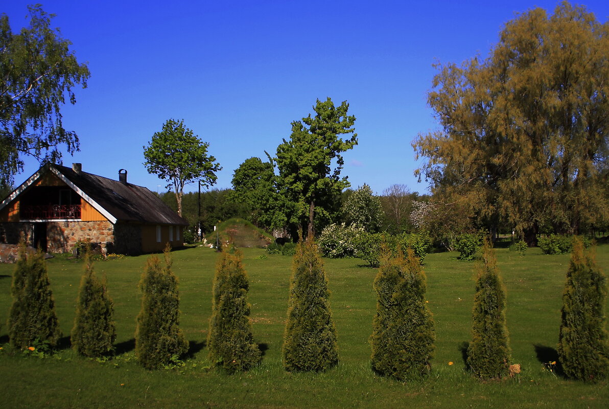 Деревенские фотозарисовки .. - Татьян@ Ивановна Деревенские фотозарисовки .. - Татьян@ Ивановна
