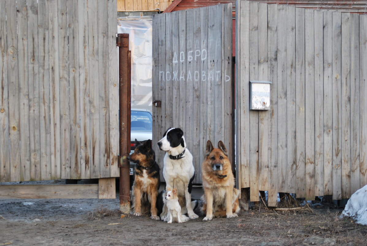 ...Заходите гости дорогие!:))) - Рудаков Сергей 