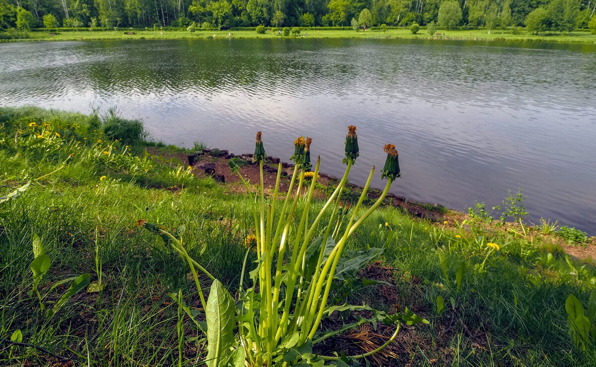 ***** - юрий поляков
