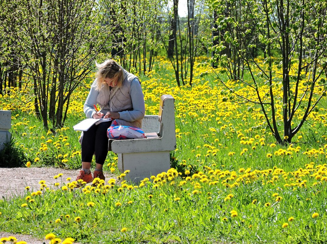 Среди одуванчиков... - Мария Васильева