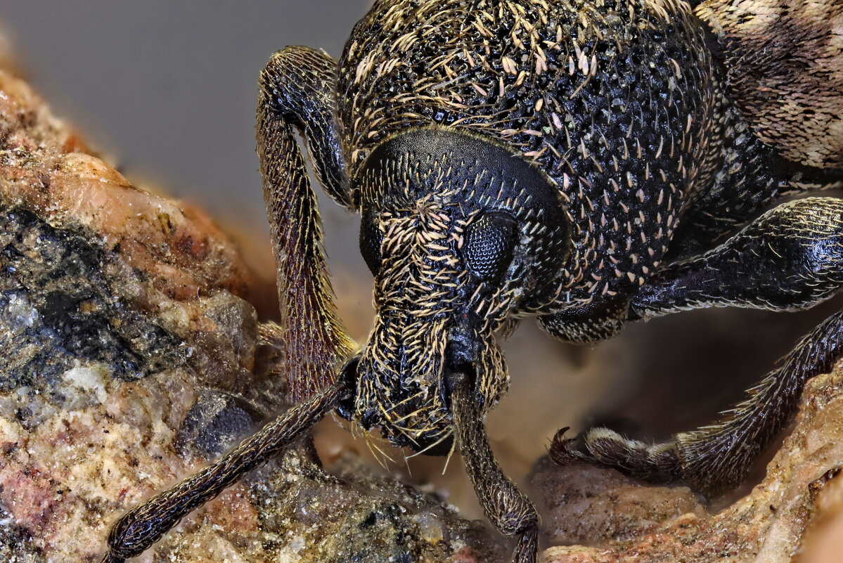 . - Игорь Осипов