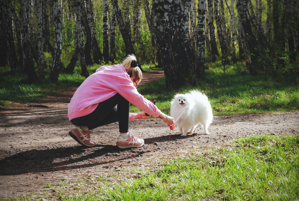 Собачья фотосессия - Сергей Царёв