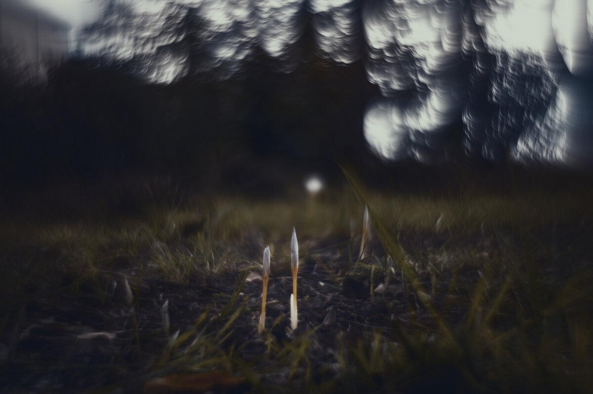 Явление таинств осенних. - Анатолий Щербак