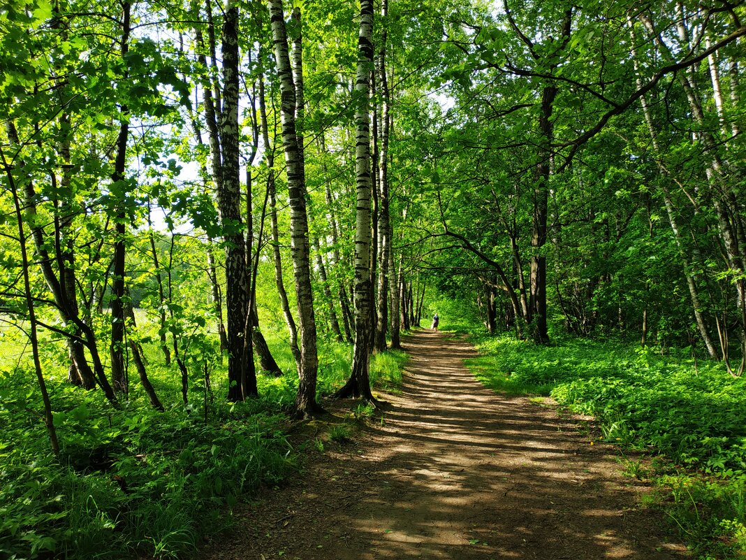 Летние мотивы - Андрей Лукьянов