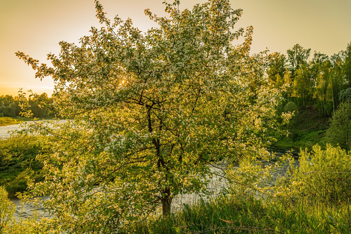 У реки - Александр Филатов