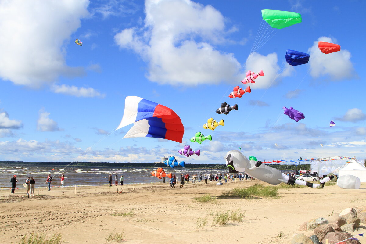 Позитив - Cергей Кочнев