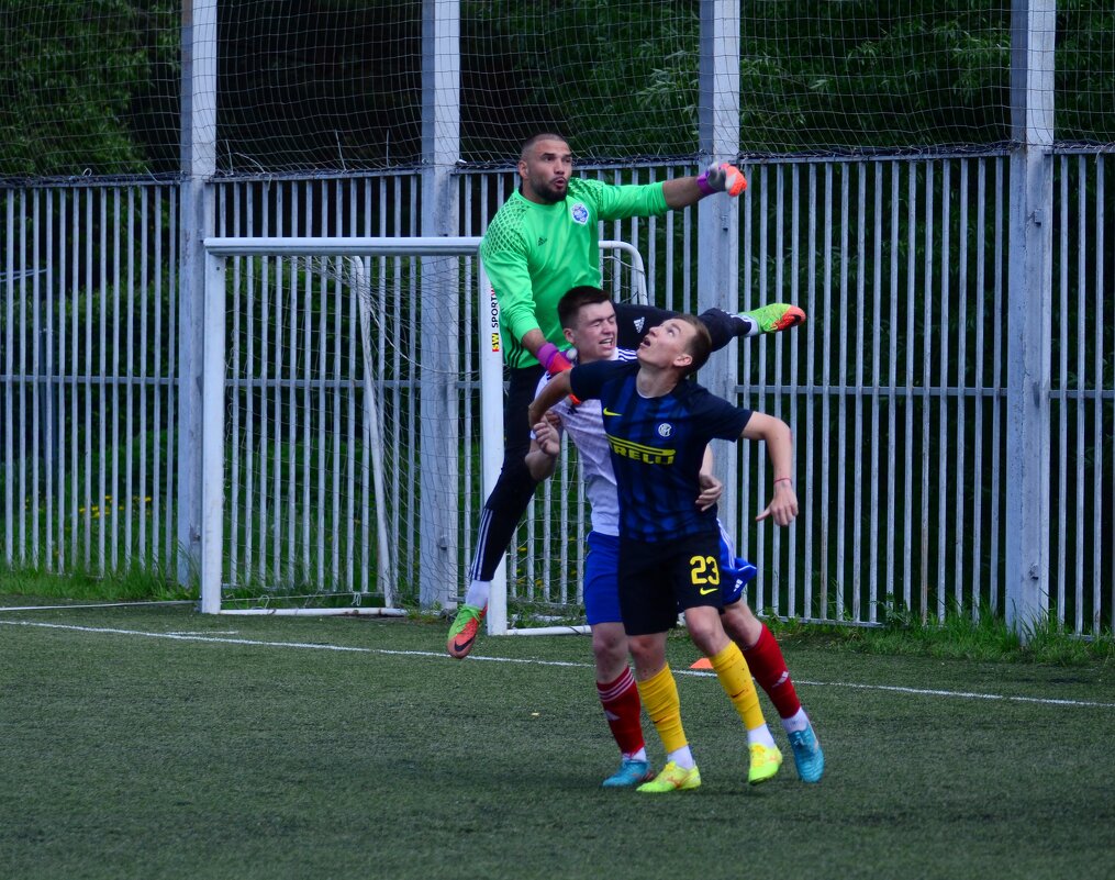 *** - Наталья Вязигина