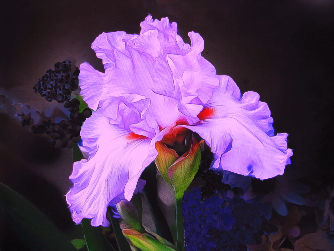 Красивый ирис - Людмила Смородинская