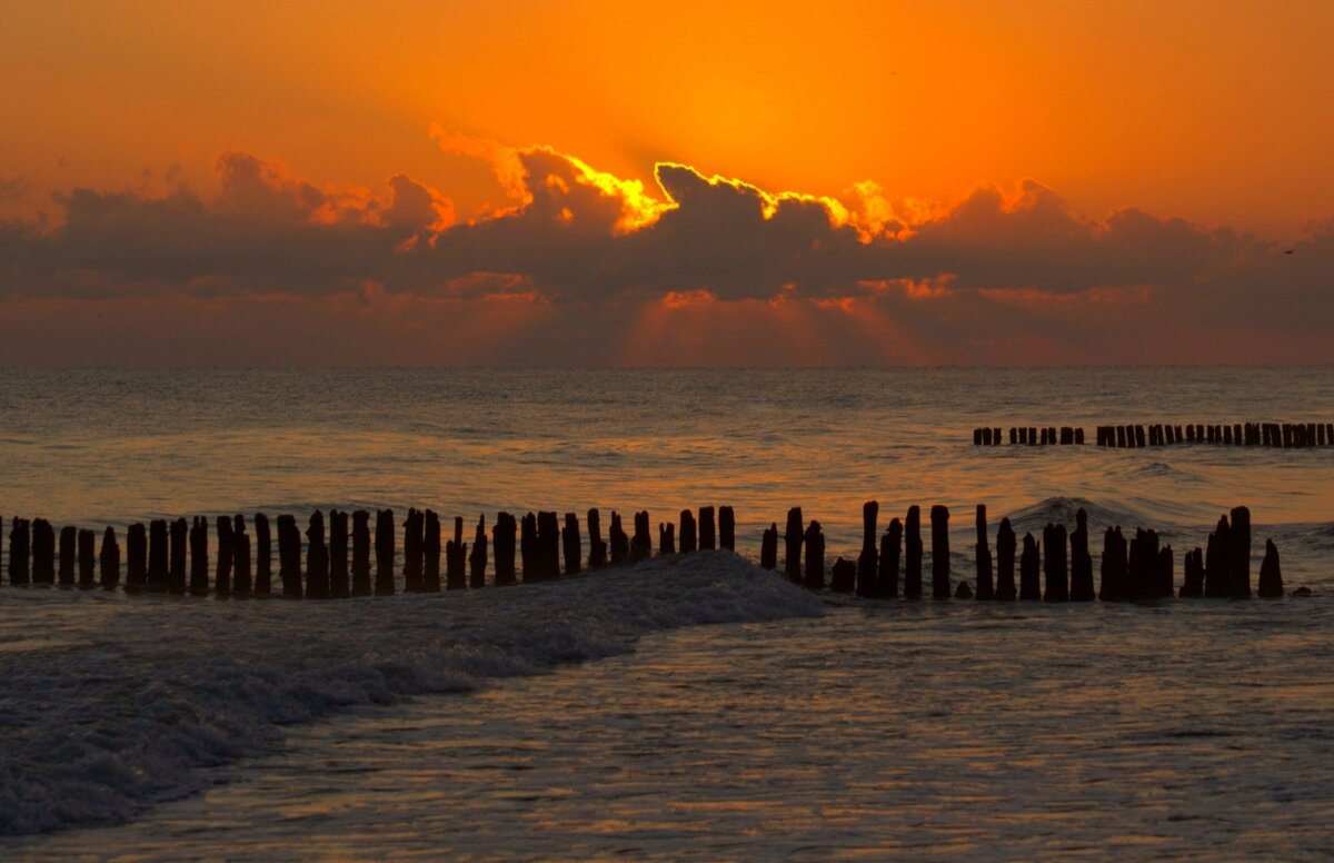 Утро - Юрий. Шмаков