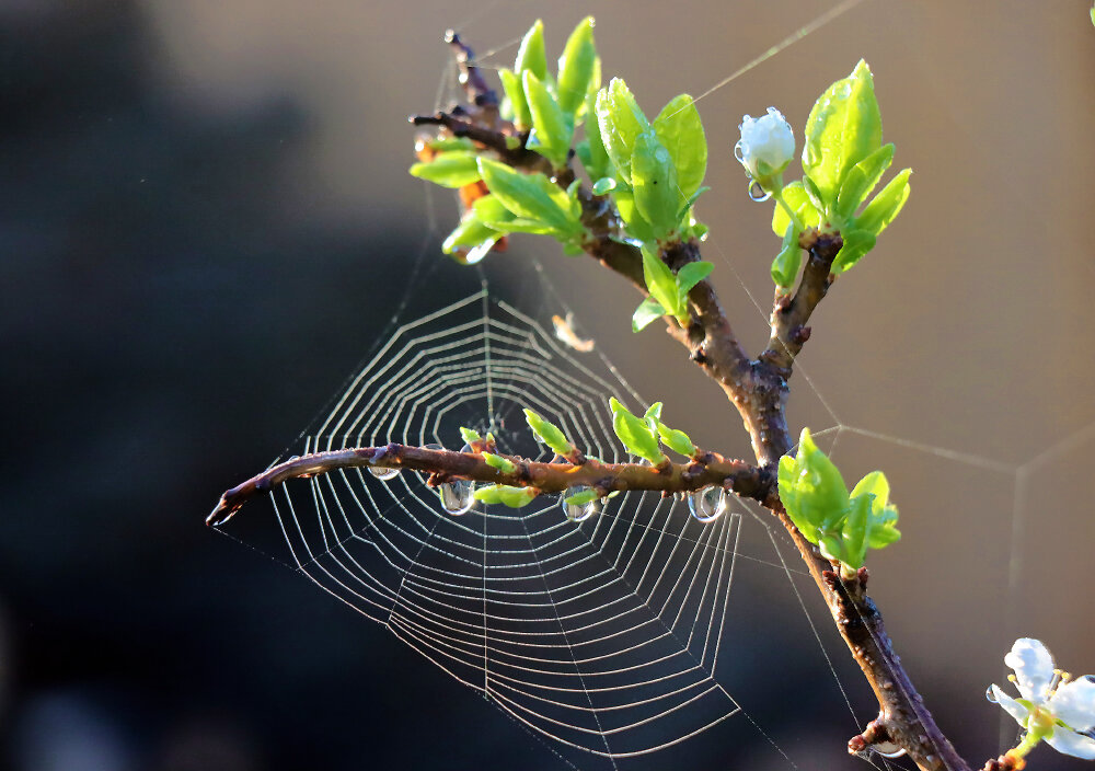 Майские этюды - Галина Ильясова