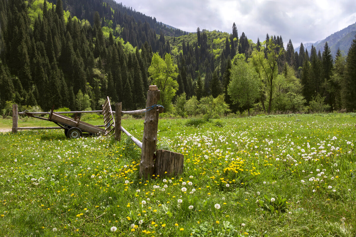 У домика егеря - LudMila У домика егеря - LudMila