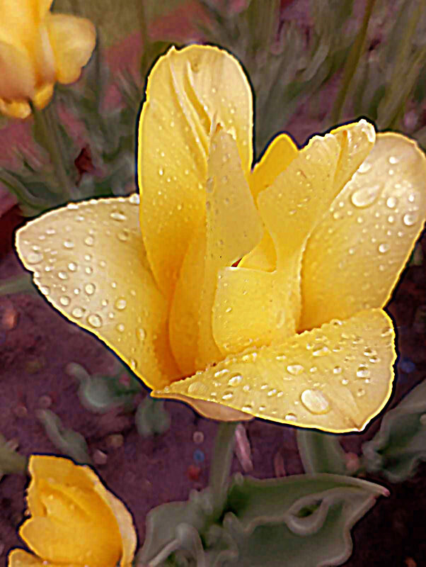 С КАПЕЛЬКАМИ ДОЖДЯ - Елена Семигина