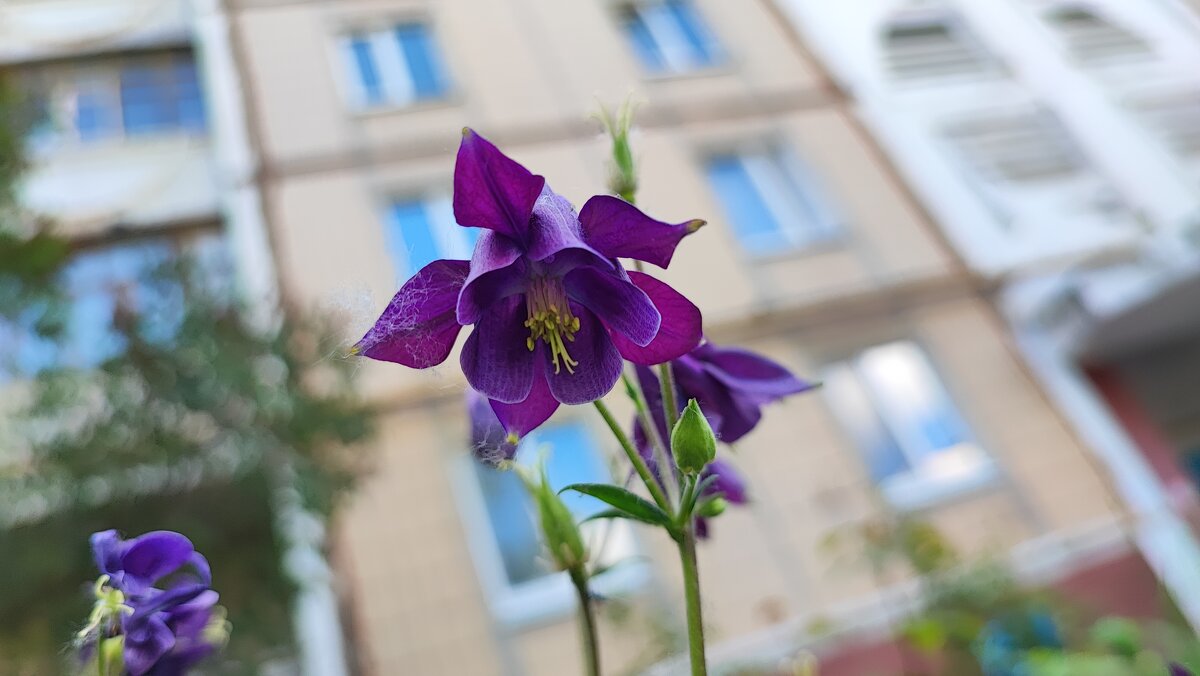 ,,, - Сергей Тимоновский ,,, - Сергей Тимоновский