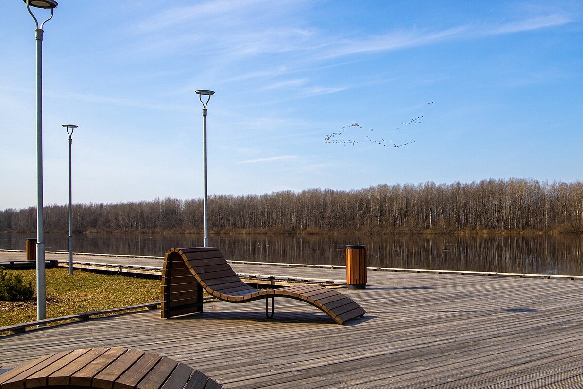 Птицы возвращаются - Алексей Сопельняк Птицы возвращаются - Алексей Сопельняк