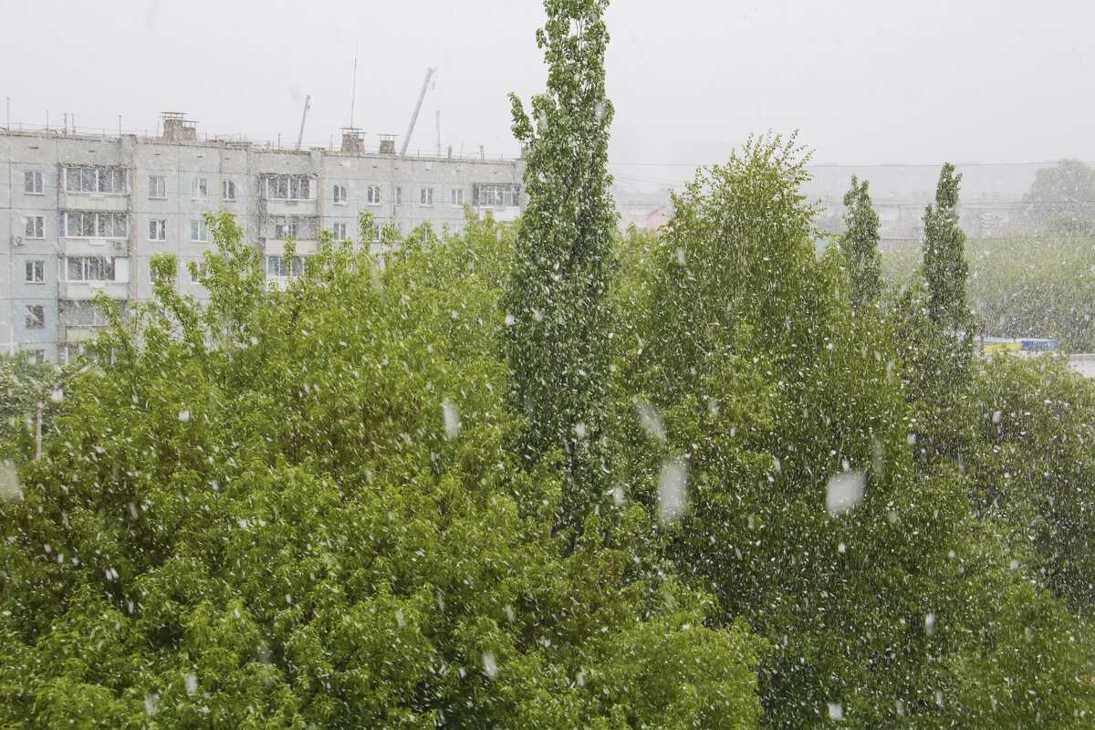 Снег в мае - Владимир Кириченко Снег в мае - Владимир Кириченко