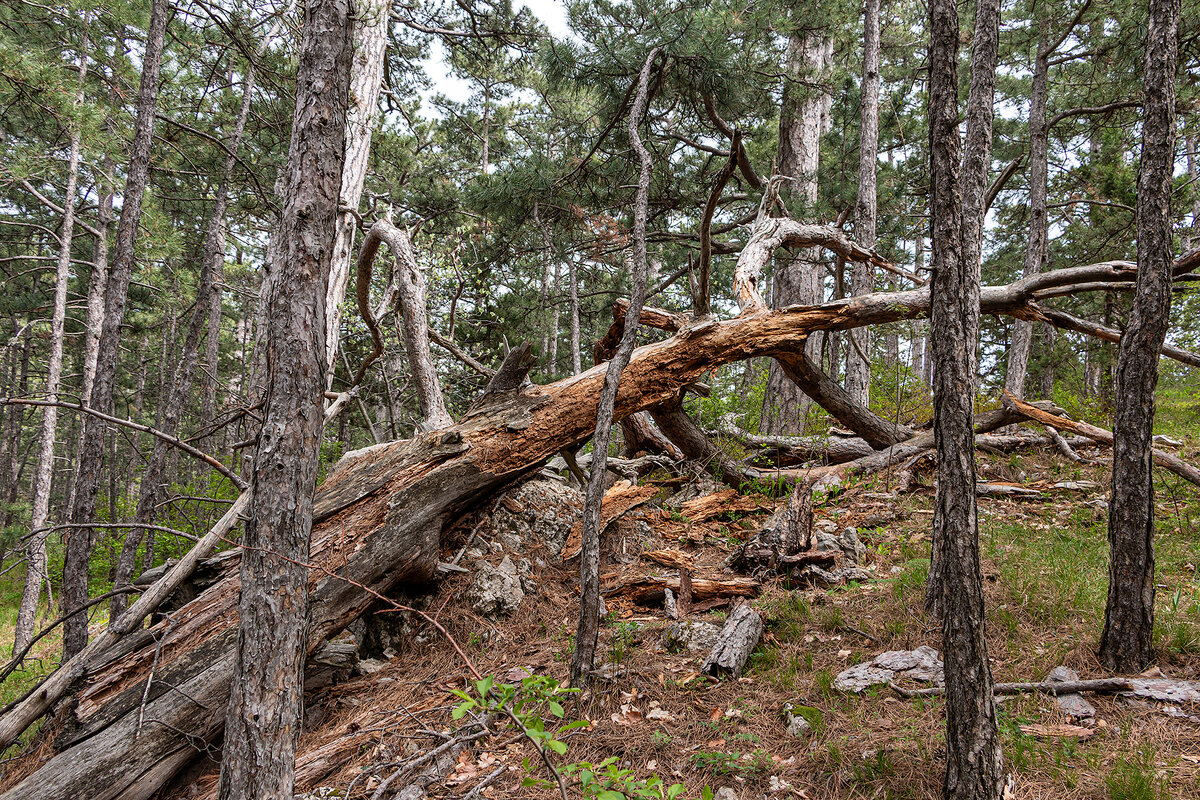 Вот и все... - Юрий Яловенко