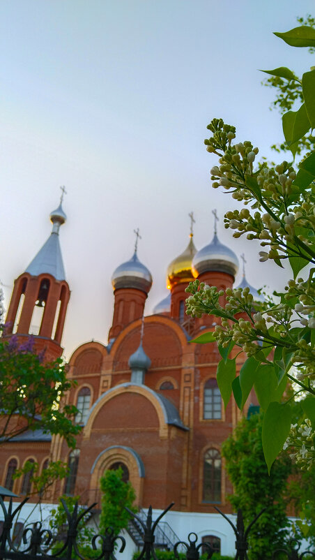 Всехсвятская церковь - Анастасия Логинова