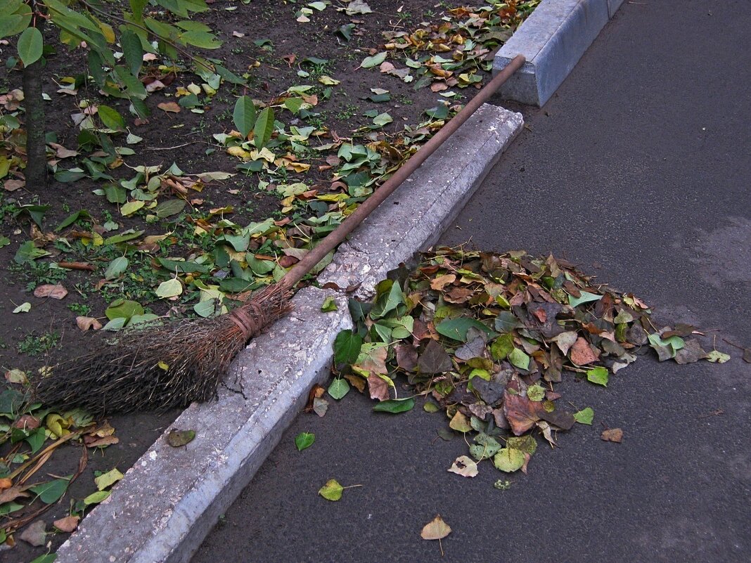 . - Александр Хоменко