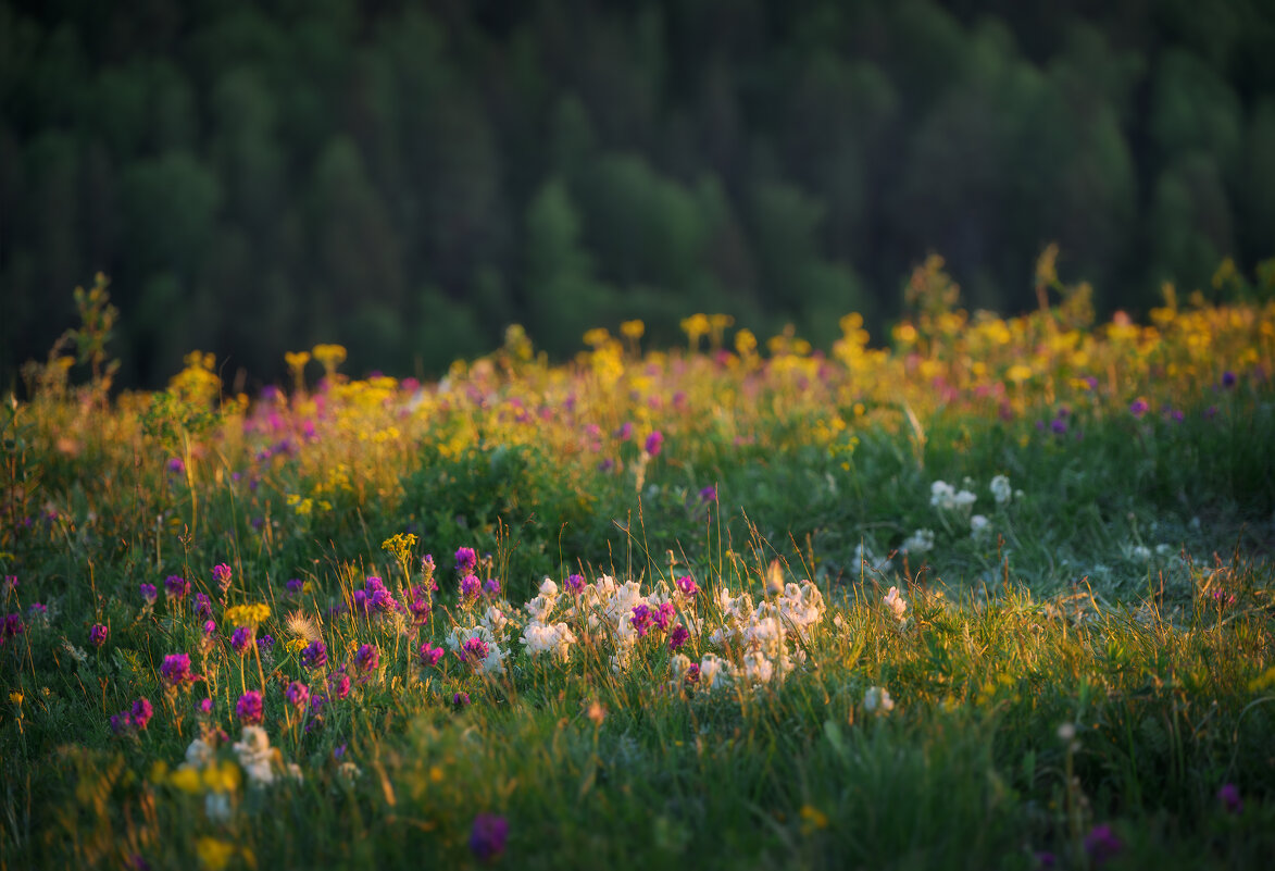 * - Александр Иванов