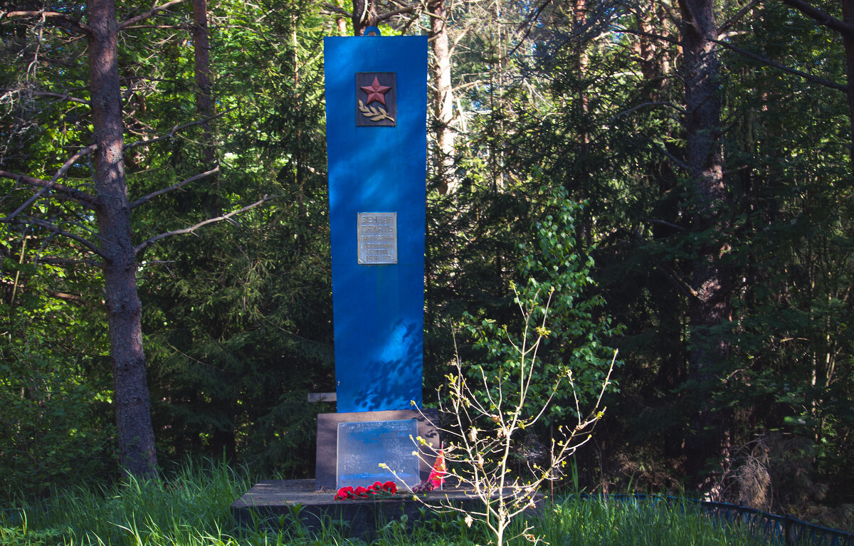 Памятник партизанам - Sergei Vikulov Памятник партизанам - Sergei Vikulov